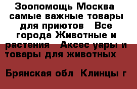 Зоопомощь.Москва: самые важные товары для приютов - Все города Животные и растения » Аксесcуары и товары для животных   . Брянская обл.,Клинцы г.